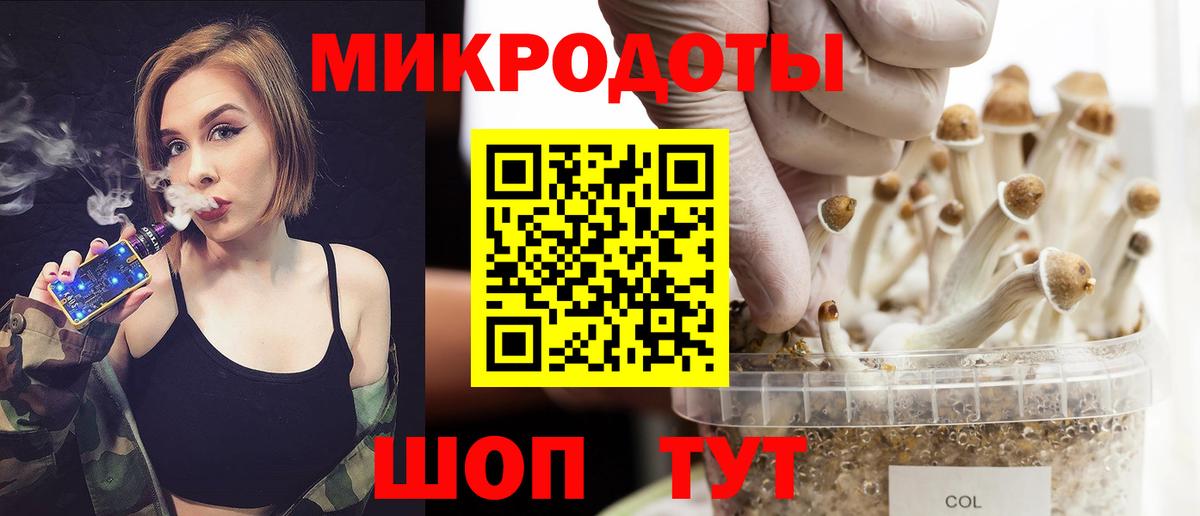 Конаково  купить наркотики сайты  Вход с VPN  Галлюциногенные грибы Psilocybe 